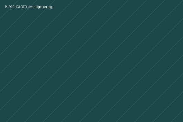 Civil litigation — disputes and proceedings
